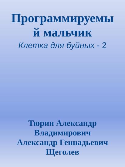 Программируемый мальчик