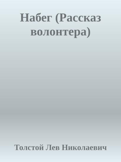 Набег (Рассказ волонтера)